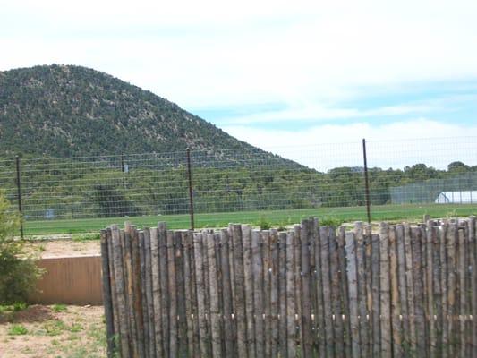 Coyote Fence along trails near Botanical Garden.