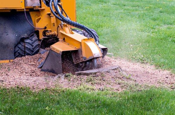 Stump removal