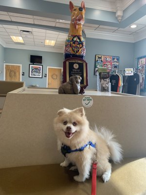 My Kody Bear waiting for his turn with Dr Vargas