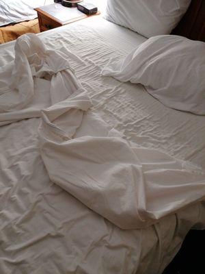 No blanket, just bed sheet!!!