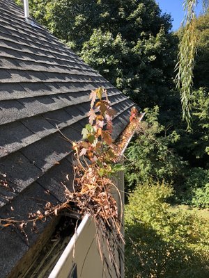 Gutters should be cleaned twice a year.