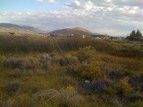 Fulstone Wetlands