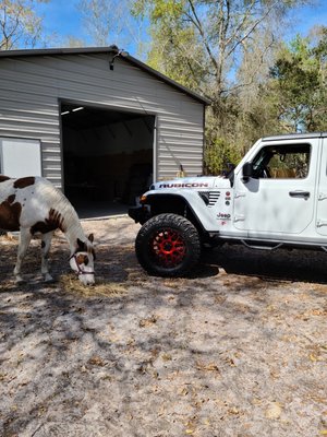 Did a rear lift on this Jeep JT Gladiator