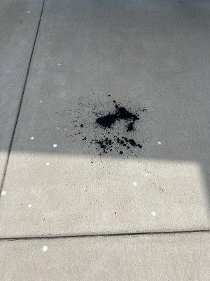 Thank he black primer they spilled.