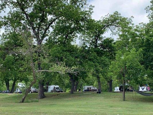 Many shade trees. This is the RV parking areas.