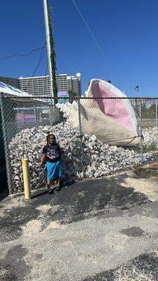 Giant conch shell out front!