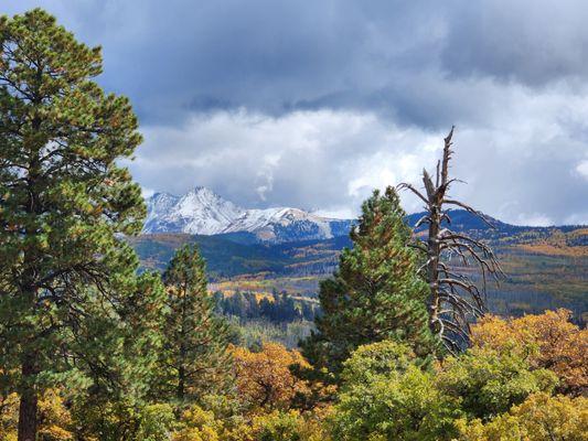 Just above Mancos, Colorado.