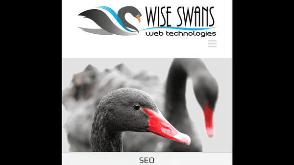 Wise Swans