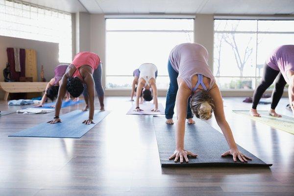 Advanced and Beginning Yoga Classes