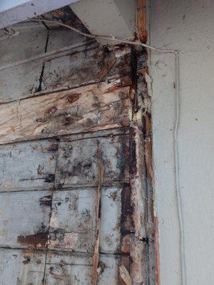 I specialize in dry rot and love tackling this issue for my customers. Give me a call.