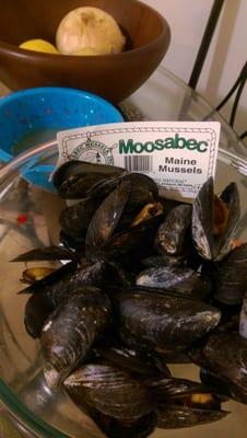 Moosabec Mussels