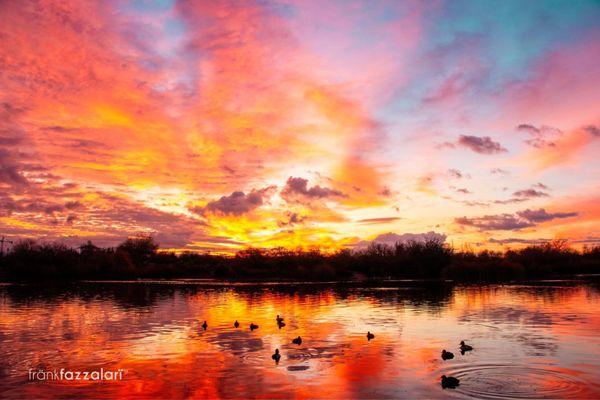 Picture yourself in the desert, under the Arizona sky