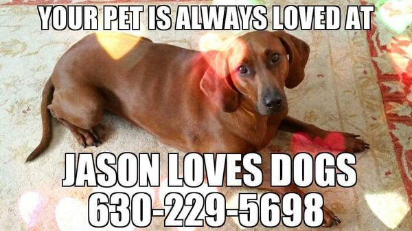 Call 630-229-5698 for reliable dog walking!