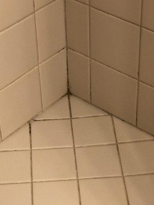 Residue left in corner of shower