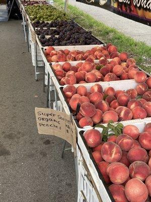 Peaches, Pluots , etc