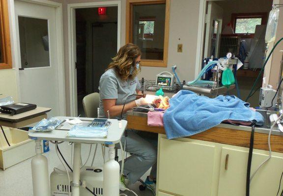 Joanna doing Dental