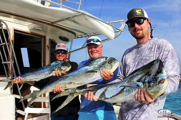 Punta Cana fishing charters Mahi Mahi