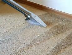 Best Clean And Green Team Carpet Cleaning