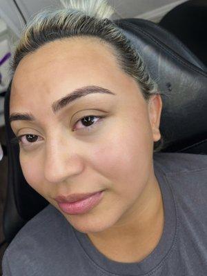 After Microblading and Microshading procedure