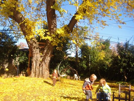 Fall at The Rainbow Bridge Preschool