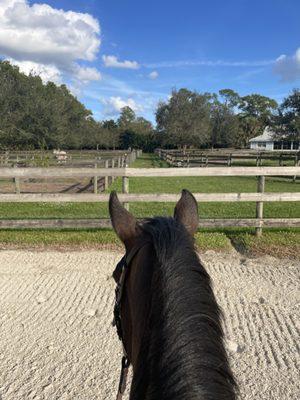 Views to the paddocks from the old arena