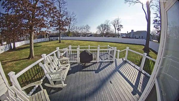 Back yard privacy fence.