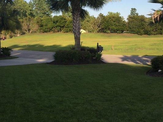 Grand Dunes Landscape and Maintenance lawn care services at the Bluffs neighborhood near Carolina Forest in Myrtle Beach, South Carolina.