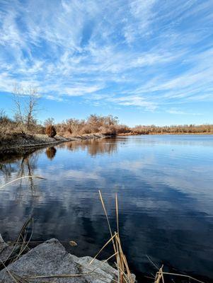 West Branch Lower Reserve County Forest Preserve