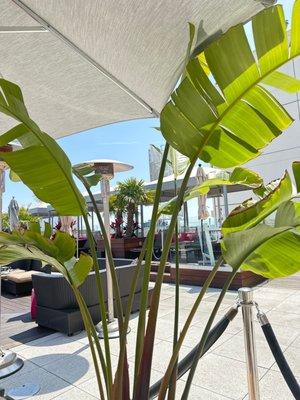 Outdoor seating area by the pool