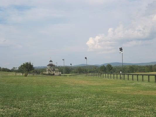 Gorgeous fields