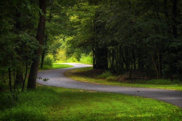 A lovely trail I was on the other day.