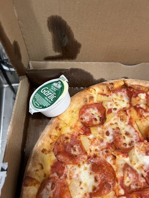 Papa Johns Pizza