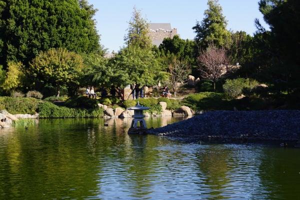 Lush green landscape in the middle of the Sonoran Desert at the Japanese Friendship Garden in Phoenix