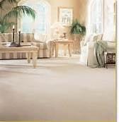 Clean Green-Carpet Cleaning