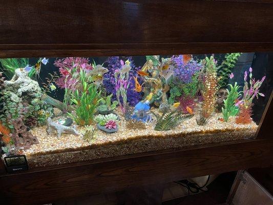 An Aquarius Aquarium client's freshwater aquarium we installed in Fresno.