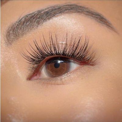 Daisy Lash Eyelash Extentions