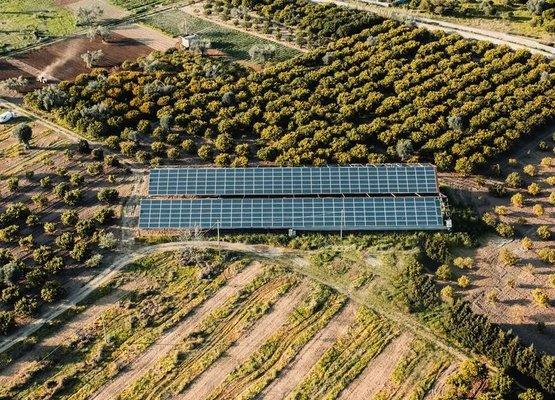 Standalone solar panels for agriculture.