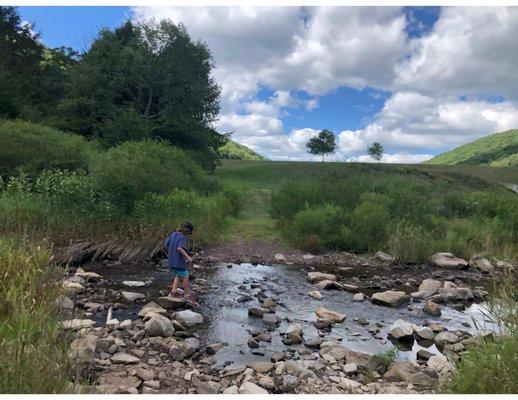 Lyman Run State Park, PA