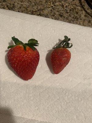 Elias on the left, grocery store on the right.