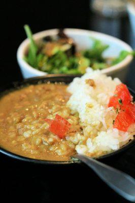 Curry + salad  ($4.95)