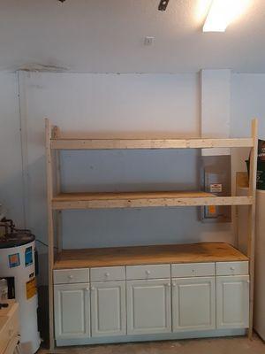 Cabinet and some storage shelves for a workshop.