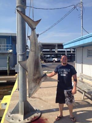 300 pound shark!