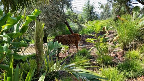 Zoological Society of San Diego