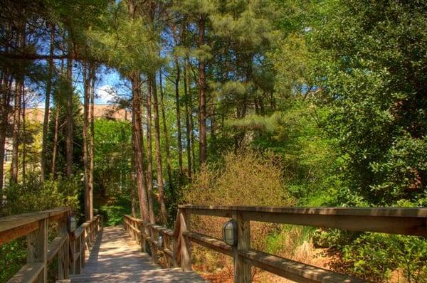 Nature Trail