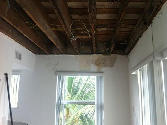 Damage from the "small leak" after my ceiling caved in.