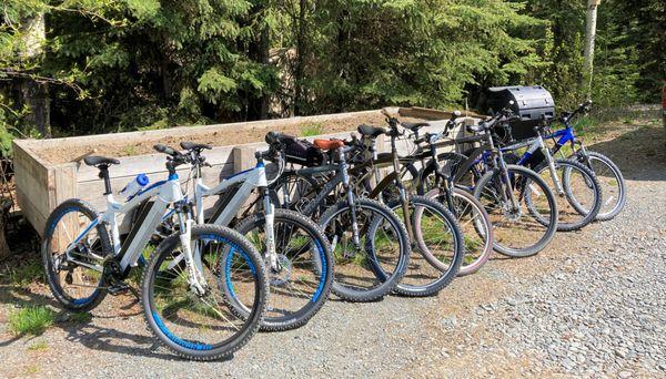 Bikes of all sizes~excellantly maintained!