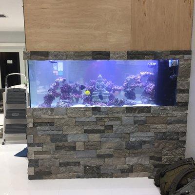 Chirino's 135 gallon reef soon to be filled with sponges and euphyllia