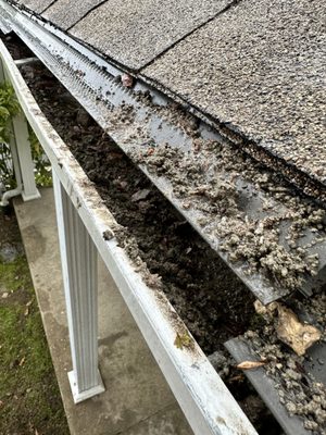 Block in gutters that they never cleaned