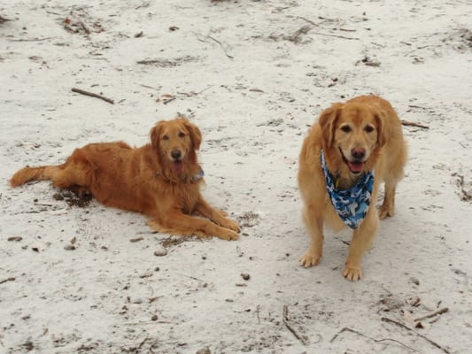 Mac and Rey first snowfall 2012