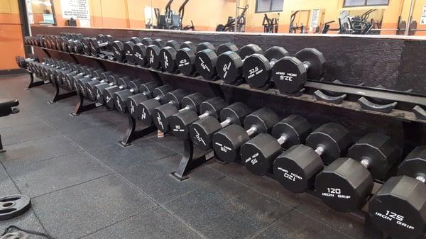 Free weights @ North Brooklyn YMCA